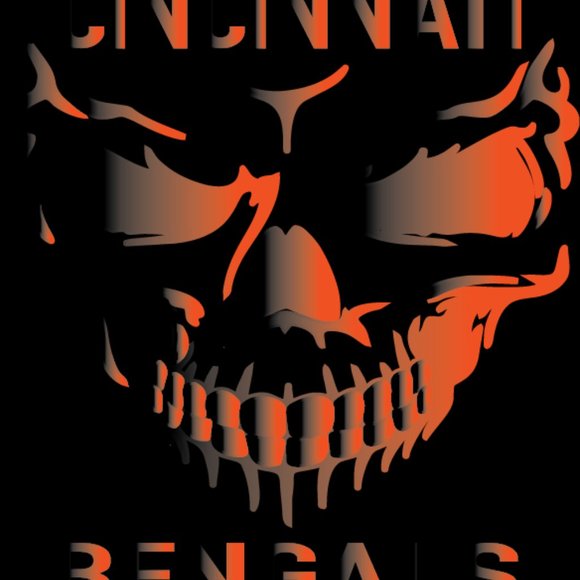 Cincinnati Bengals - Picture 3 of 3